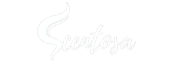 cropped logo name transparent white.png